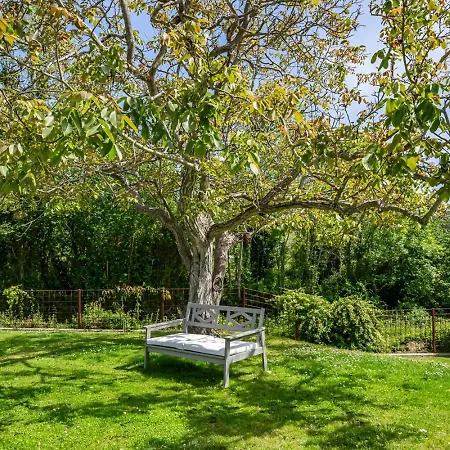 Entrenueces Appto 3 Camango